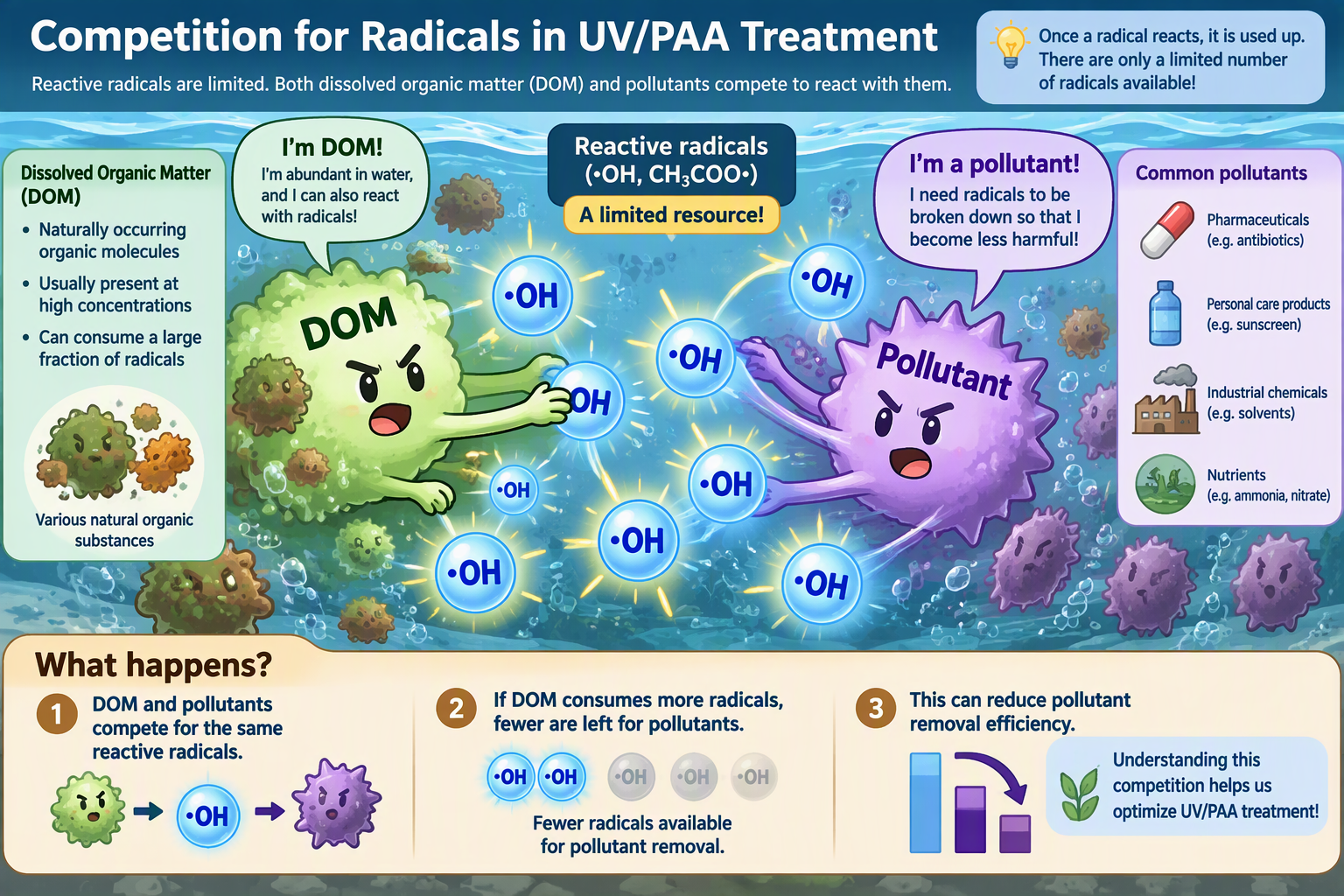 DOM and target pollutants compete for a limited pool of reactive radicals.