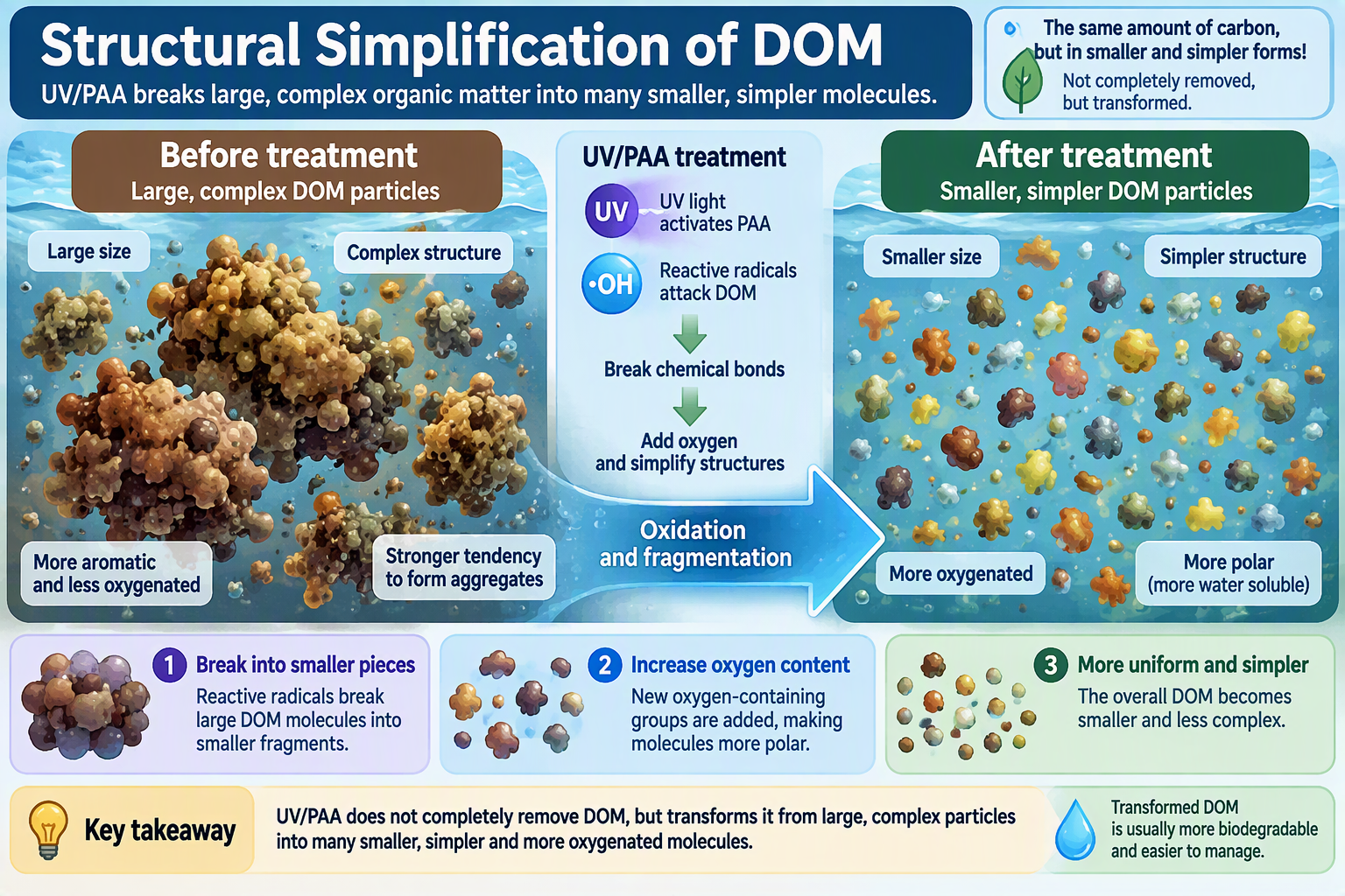 UV/PAA treatment breaks large, complex DOM structures into smaller, simpler molecules.